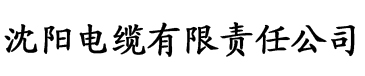 波多野结衣在线一区电缆厂logo